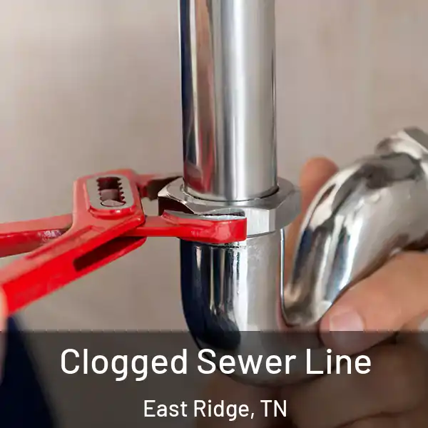  Clogged Sewer Line East Ridge, TN
