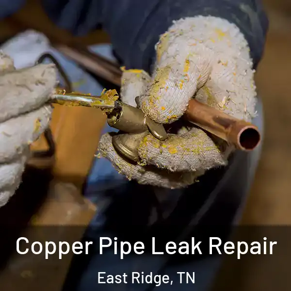  Copper Pipe Leak Repair East Ridge, TN