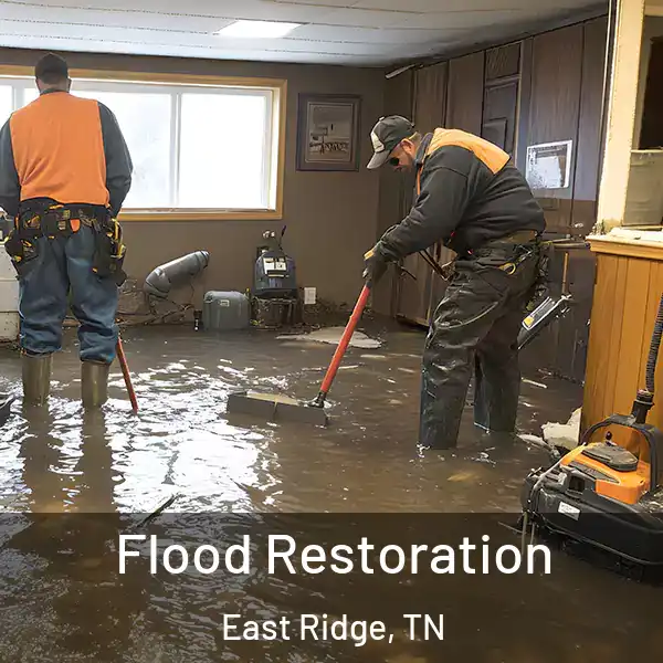  Flood Restoration East Ridge, TN