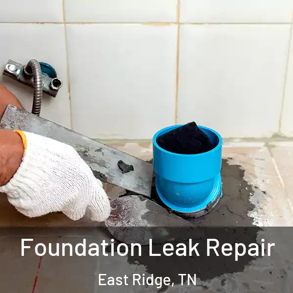  Foundation Leak Repair East Ridge, TN