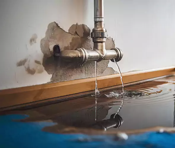 Professional Water Damage Restoration Experts in East Ridge, TN — Fast, Reliable & Certified
