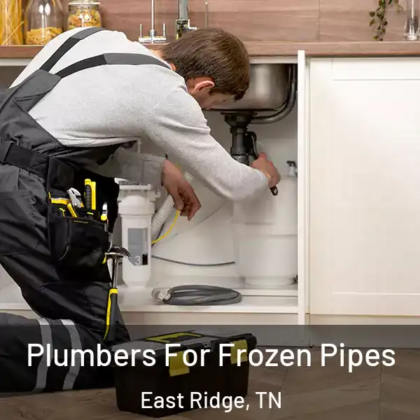 Plumbers For Frozen Pipes East Ridge, TN