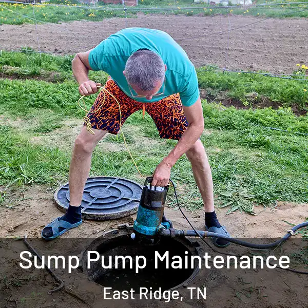  Sump Pump Maintenance East Ridge, TN