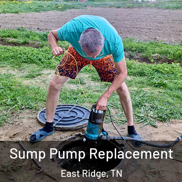  Sump Pump Replacement East Ridge, TN