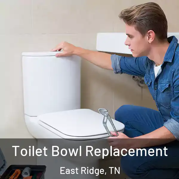  Toilet Bowl Replacement East Ridge, TN