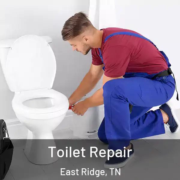  Toilet Repair East Ridge, TN
