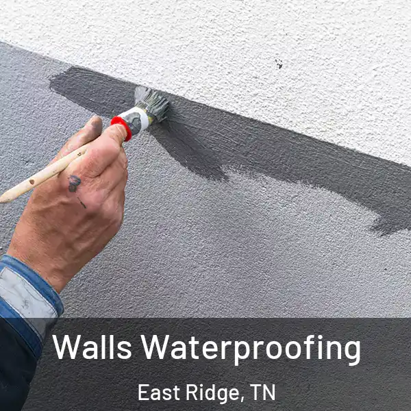  Walls Waterproofing East Ridge, TN